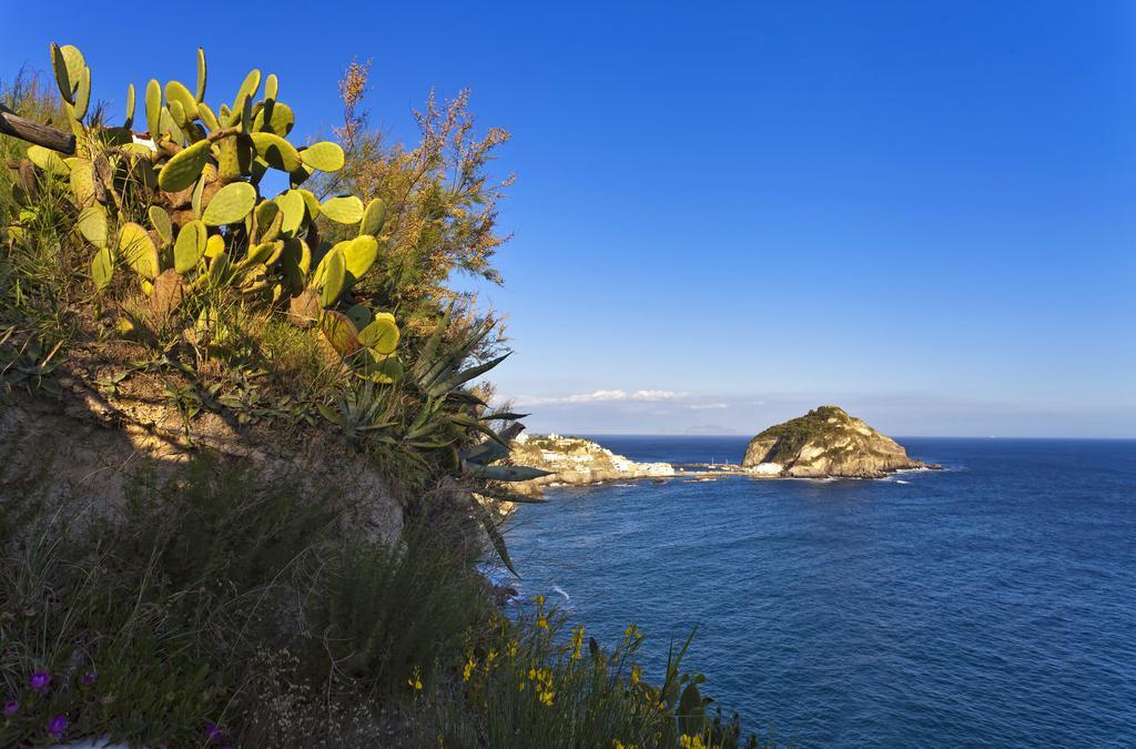 Costa Del Capitano Seaside Villas Sant'Angelo  외부 사진